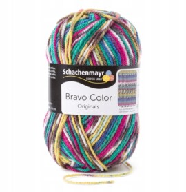 Włóczka Schachenmayr Bravo Color, 2084